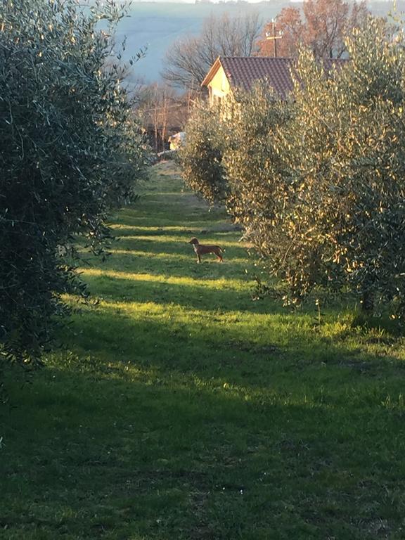 Appartamento Dell Agriturismo Pane E Olio Todi Exterior foto